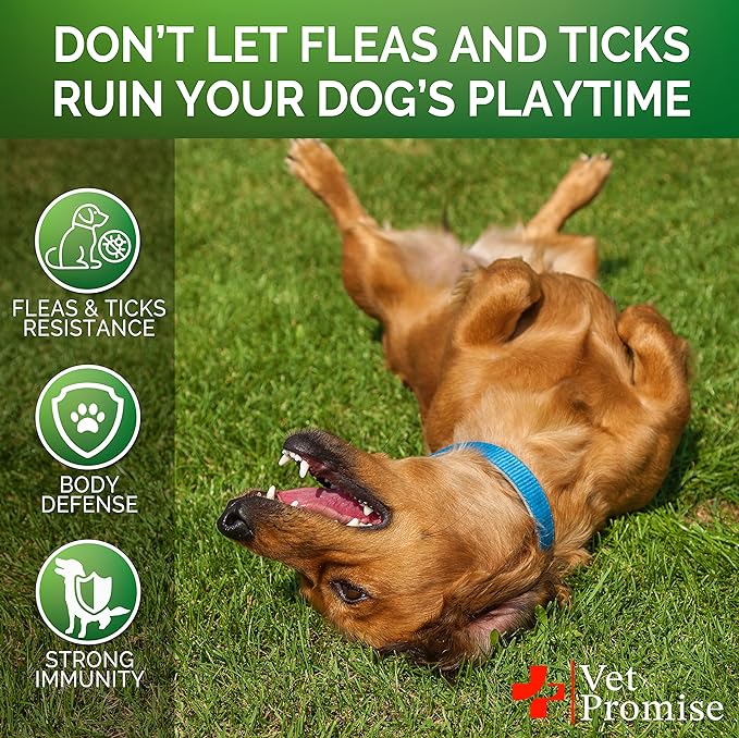 Flea and Tick Prevention for Dogs Chewables - All Natural Dog Flea & Tick Control - Flea and Tick Chews for Dogs - Oral Flea Pills for Dogs Supplement - All Breeds and Ages - Made in USA - 120 Tablets