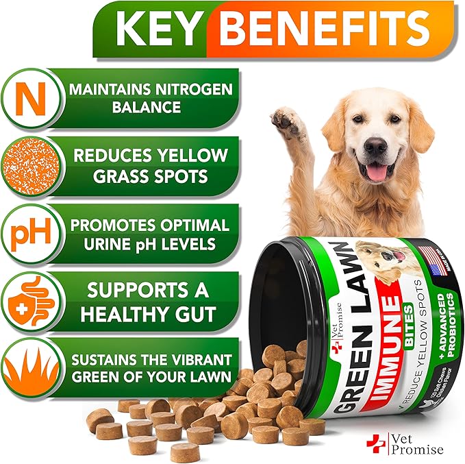 Grass Burn Spot Chews for Dogs - Dog Urine Neutralizer for Lawn - 120 Grass Green Dog Chews - Grass Savers for Dog Urine - Dog Pee Grass Neutralizer with Probiotics - Digestive Enzymes - Made in USA