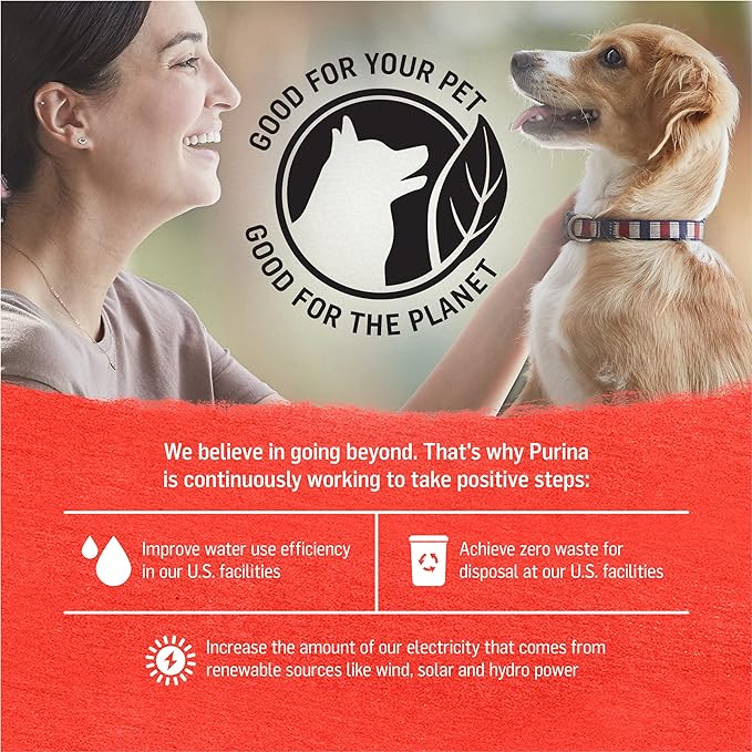 Purina Beyond Chicken, Beef and Cod Ground Entree Grain Free Wet Dog Food Variety Pack - 6 Count (Pack of 2) 13 oz. Cans