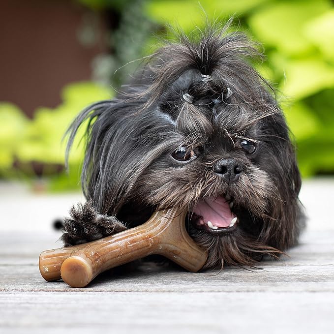 Benebone Bacon Stick Real Wood Durable Dog Chew Toy, Made in USA, Small
