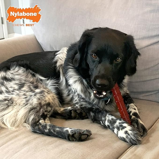 Nylabone Power Chew Classic Bone Chew Toy for Dogs, Durable Dog Toys for Aggressive Chewers, Basted Blast Bacon & Steak Flavor, Large/Giant (1 Count)