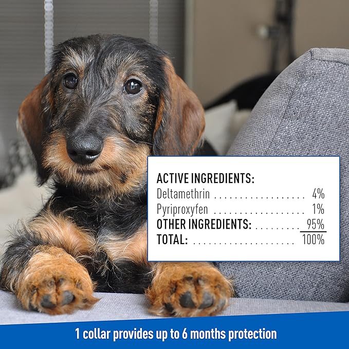Adams Flea & Tick Collar Plus for Dogs & Puppies, 6-Month Protection, One Size Fits All Dogs & Puppies, Kills Fleas & Ticks, Repels Mosquitoes For Up To 6 Months (excluding California)