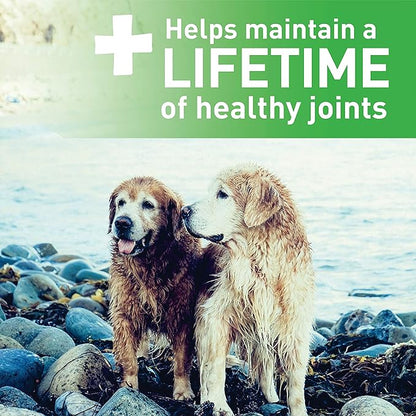 Greenies Aging Care Petite Natural Dental Care Dog Treats, 27 oz. Pack (45 Treats)
