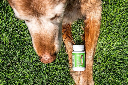 New Zealand Deer Velvet Senior Formula for Dogs