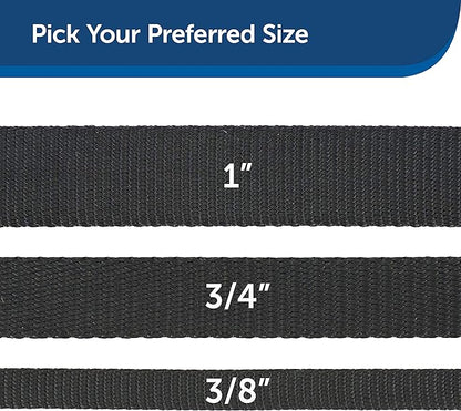 PetSafe Nylon Dog Leash - Strong, Durable, Traditional Style Leash with Easy to Use Bolt Snap - 3/4 in. x 4 ft., Black