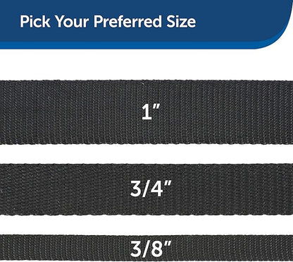 PetSafe Nylon Dog Leash - Strong, Durable, Traditional Style Leash with Easy to Use Bolt Snap - 3/4 in. x 4 ft., Black