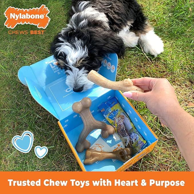 Nylabone Dog Toy Gift Box, includes 3 Strong Chew Toys and 1 Dog Treat, Chew Toys for Puppies, Small/Regular (4 Count)