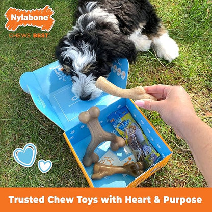 Nylabone Dog Toy Gift Box, includes 3 Strong Chew Toys and 1 Dog Treat, Chew Toys for Puppies, Small/Regular (4 Count)