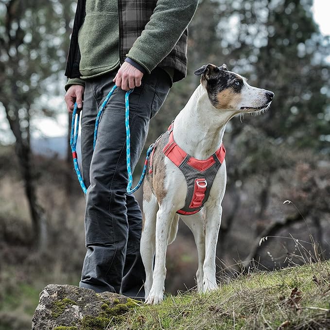 Kurgo Journey Air Dog Harness, Vest Harnesses for Dogs, Pet Hiking Harness for Running & Walking, Reflective, Padded, includes Control Handle, No Pull Front Clip (Coral, Large)