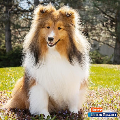 Hartz UltraGuard Plus Topical Flea & Tick Prevention for Dogs and Puppies - 31-60 lbs, 3 Monthly Treatments