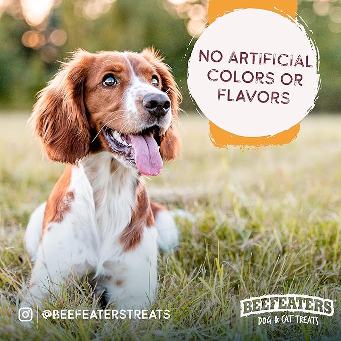 Beefeaters Chicken Jerky Strips, 24oz, 1 Count (Pack of 2)