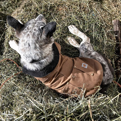 Carhartt Firm Duck Insulated Dog Chore Coat Army Green/Brass , Large