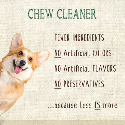 Nylabone Nutri Dent Dog Dental Chews - Natural Dog Teeth Cleaning & Breath Freshener - Dental Treats for Dogs - Filet Mignon Flavor, Mini (32 Count)