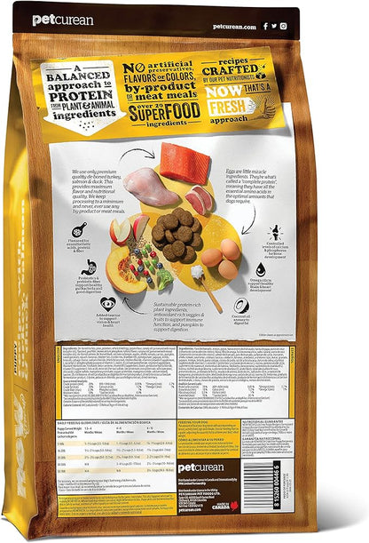 Now Fresh Grain Free Puppy Food, 22 lb - Dry Dog Food Recipe for Puppies - Real Meat and Fish for Protein - Healthy Diet for Small, Medium and Large Breed Dogs