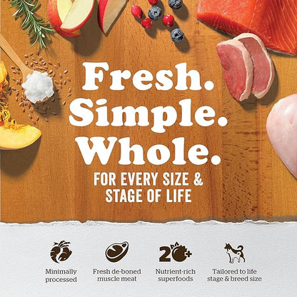 Now Fresh Grain Free Small Breed Dog Food, 3.5 lb - Dry Dog Food Senior Recipe - Healthy Diet with Probiotics & Real Meat & Fish for Protein