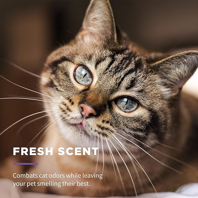 Wet Ones for Pets Freshening Aloe Vera Cat Grooming Wipes, 24 Pack, 5760 Count