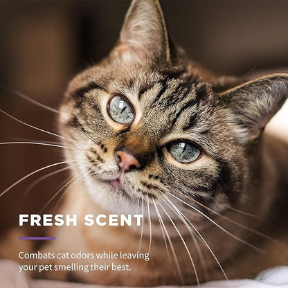 Wet Ones for Pets Freshening Aloe Vera Cat Grooming Wipes, 24 Pack, 5760 Count