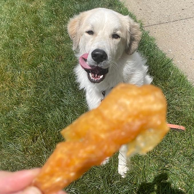 Best Bully Sticks Chicken Breast Dehydrated Dog Treats - Chicken Fillet Treats for Dogs 24 oz. - All Natural High Protein Real Chicken Premium Jerky Dog Chews - Grain Free Dog Treats