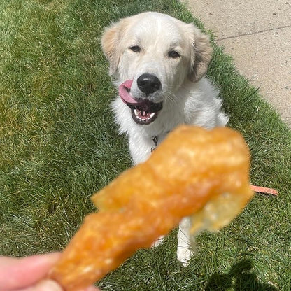 Best Bully Sticks Chicken Breast Dehydrated Dog Treats - Chicken Fillet Treats for Dogs 24 oz. - All Natural High Protein Real Chicken Premium Jerky Dog Chews - Grain Free Dog Treats