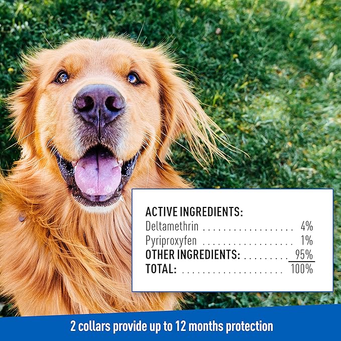 Adams Flea & Tick Collar Plus for Dogs & Puppies |2 Pack |12-Month Protection |One Size Fits All Dogs & Puppies 12 Weeks and Older |Kills Fleas and Ticks |Repels Mosquitoes (excluding California)