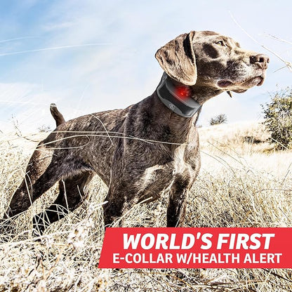 SportDOG Brand FieldSentinel 825 Shock Collar for 2 dogs with Bodyguard Health Alerts – World’s First E-Collar w/ Health Monitoring – ½ Mile Range - Train with Shock, Vibrate, and Tone