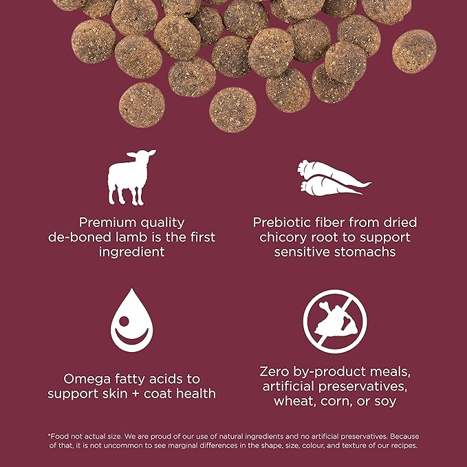 GO! SOLUTIONS Sensitivities – Lamb Recipe – Limited Ingredient Dog Food, 12 lb – Grain Free Dog Food for All Life Stages – Dog Food to Support Sensitive Stomachs