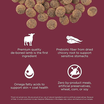 GO! SOLUTIONS Sensitivities – Lamb Recipe – Limited Ingredient Dog Food, 12 lb – Grain Free Dog Food for All Life Stages – Dog Food to Support Sensitive Stomachs