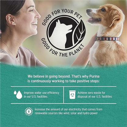 Purina Beyond Cod, Salmon and Sweet Potato Natural Ground Grain Free Wet Dog Food Pate - (Pack of 12) 13 oz. Cans.