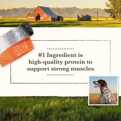 Whole Earth Farms Natural Grain Free Dry Kibble, Wholesome And Healthy Dog Food, Salmon And Whitefish Recipe - 25 LB Bag