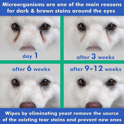 Arava Pet Eye Wipes - for Dogs Cats Puppies & Kittens - 100 Count - Natural and Aromatherapy Medicated - Removes Dirt Crust and Discharge - Prevents Tear Stains