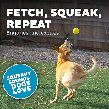 Outward Hound Orbee-Tuff Squeak Ball Yellow Dog Fetch Toy
