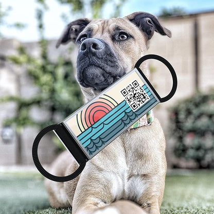 QR Code Dog Tag,Silent Dog Tags Personalized for Pets, Slide On Dog Tag,Custom Dog Name ID Tags Personalized Noiseless Dog and Cat Tags-Free Online&Scan QR Receive Instant Location Alert Email