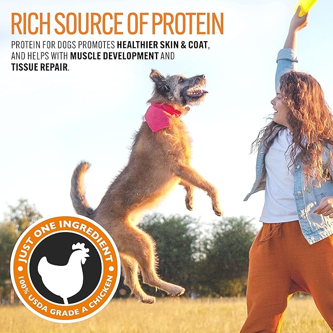 Emmy's Best EBPP Chicken Jerky Dog Treats Made in USA - 100% Natural Dog Jerky Treats Made with Real Chicken - Grilled Chicken Strips for Medium Dogs, Large Dogs and Small Dogs