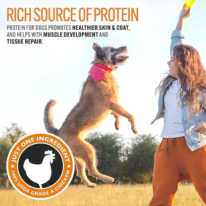 Emmy's Best EBPP Chicken Jerky Dog Treats Made in USA - 100% Natural Dog Jerky Treats Made with Real Chicken - Grilled Chicken Strips for Medium Dogs, Large Dogs and Small Dogs