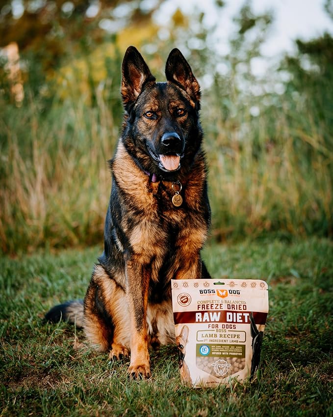Boss Dog Brand Complete & Balanced Freeze Dried Raw Diet for Dogs 12oz Bag (Lamb)