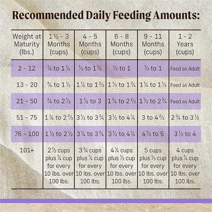 Merrick Healthy Grains Premium Dry Dog Food, Wholesome And Natural Kibble For Healthy Digestion, Puppy Recipe - 12.0 lb. Bag