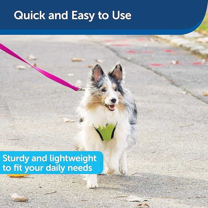 PetSafe Nylon Dog Leash - Strong, Durable, Traditional Style Leash with Easy to Use Bolt Snap - 3/4 in. x 6 ft., Raspberry Pink
