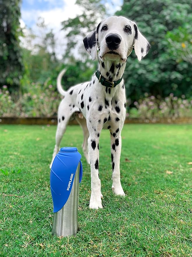 PupFlask Large Dog Water Bottle | 27 or 40 OZ Stainless Steel | Convenient Dog Water Dispenser | Puppy Travel Water Bowl | Portable Pet Water Bottle | Leak Proof Bottle Perfect Size For All Dog Breeds