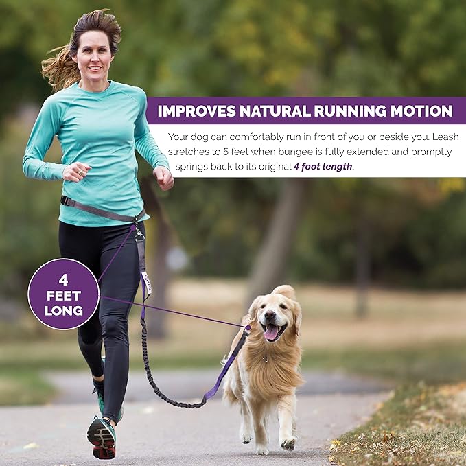 Hands Free Dog Leash for Running, Walking, Hiking, Durable Dual-Handle Bungee Leash is 4 Feet Long with Reflective Stitching, and an Adjustable Waist Belt That Fits up to 42 Inch Waist