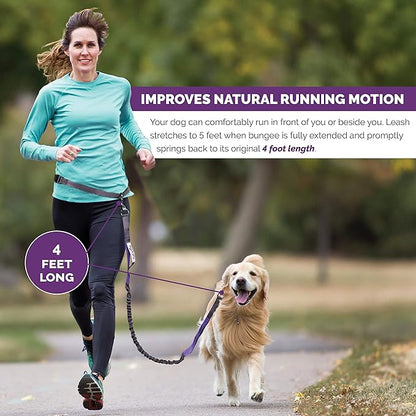 Hands Free Dog Leash for Running, Walking, Hiking, Durable Dual-Handle Bungee Leash is 4 Feet Long with Reflective Stitching, and an Adjustable Waist Belt That Fits up to 42 Inch Waist