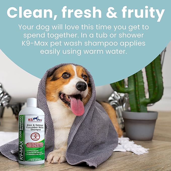 Oatmeal Dog Shampoo and Conditioner - for Dogs with Allergies and Dry Itchy Sensitive Skin. Best Hypoallergenic Medicated Tear Free Anti Itch for Puppy - with Aloe Cucumber Essence and Melon Extract