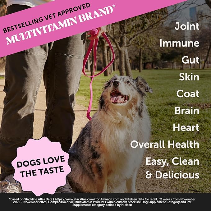 Pet Honesty Dog Multivitamin Supplement with Salmon Oil for Dogs - Immune Allergy Itch Relief, Digestion, Skin & Coat Health, Dog Food Topper Bone Broth with Salmon Oil, Prebiotics + Vitamins (12 oz)