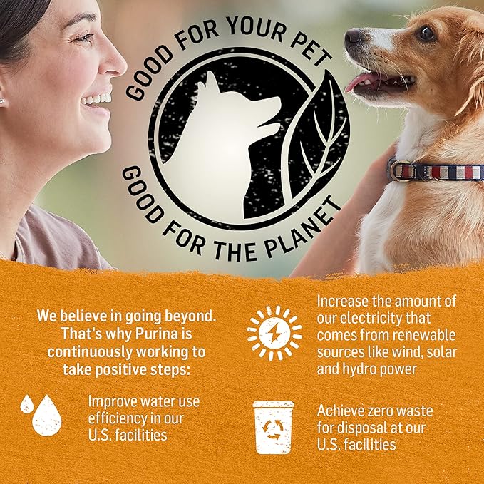 Purina Beyond Grain Free Chicken & Sweet Potato Recipe in Gravy Adult Wet Dog Food - 12/12.5 oz. Can