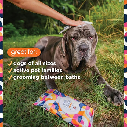 Pet Wipes for Dogs, Dog Cleaning Wipes - Plant-Based Dog Wipes with Moisturizing Aloe Leaf & Calendula - Made in The USA - Bergamot Apple Scent Dog Grooming Wipes - 40ct (Pack of 3)