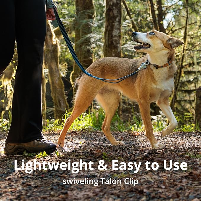 Ruffwear, Roamer Bungee Dog Leash for Running, Biking or Hiking, Can be Used Hand-Held or Hands-Free, River Rock Green, 7.3'-11'