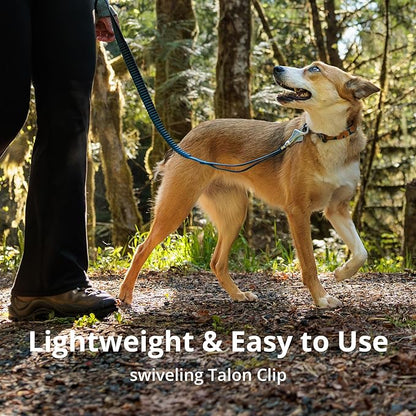 Ruffwear, Roamer Bungee Dog Leash for Running, Biking or Hiking, Can be Used Hand-Held or Hands-Free, River Rock Green, 7.3'-11'