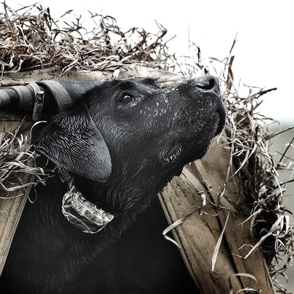 SportDOG Brand WetlandHunter 425X Camouflage Remote Trainer with Additional Shock Collar - 500 Yard Range - Train 2 Dogs - Rechargeable with Static, Vibe, and Tone