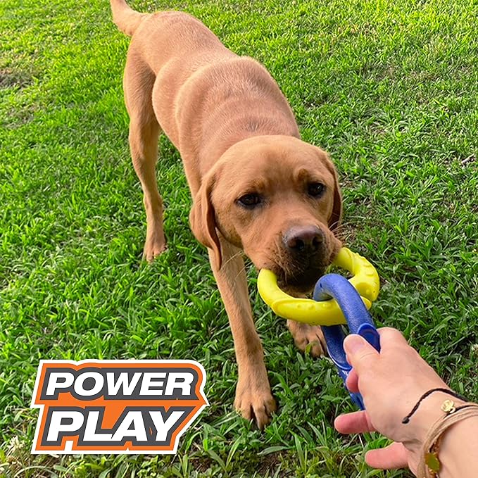 Nylabone POWER PLAY Interactive Fetch Toys for Dogs l Enrichment Dog Toys for the Ultimate Playtime Experience