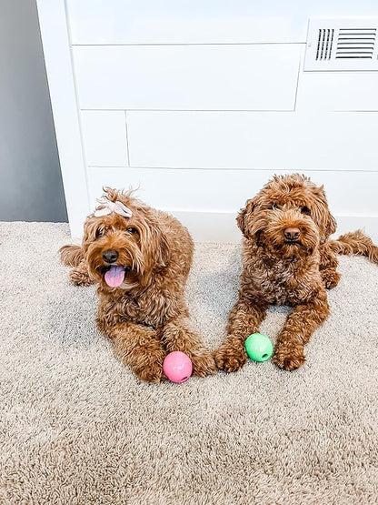 Nylabone Power Play Gum-a-Ball toy for Dogs One Size (2 Count)