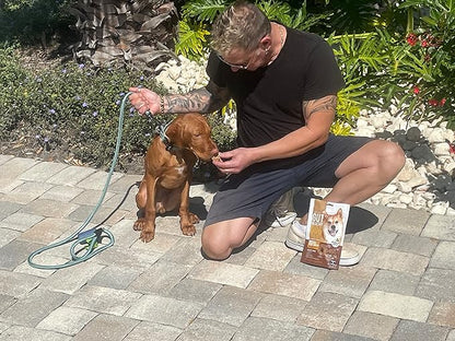 Gut Healthy Dog (Treats)